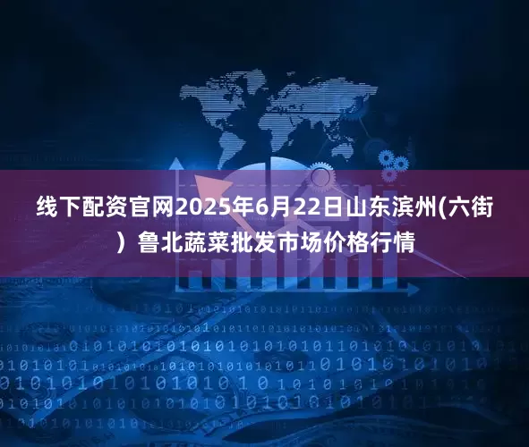 线下配资官网2025年6月22日山东滨州(六街）鲁北蔬菜批发市场价格行情